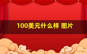 100美元什么样 图片